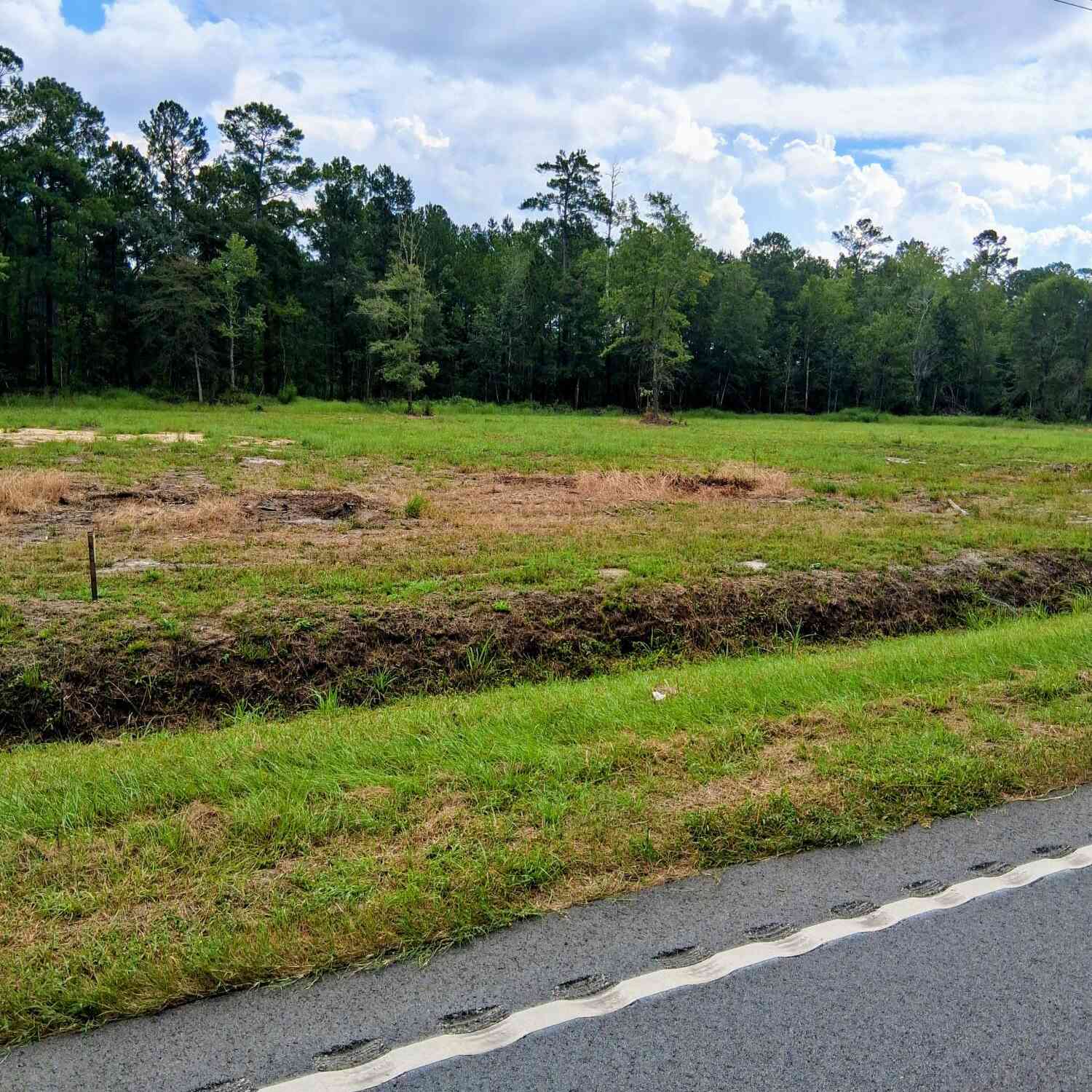 Vacant Land For Sale - 4334 Mt Carmel Road<br/> Walterboro, SC 29488