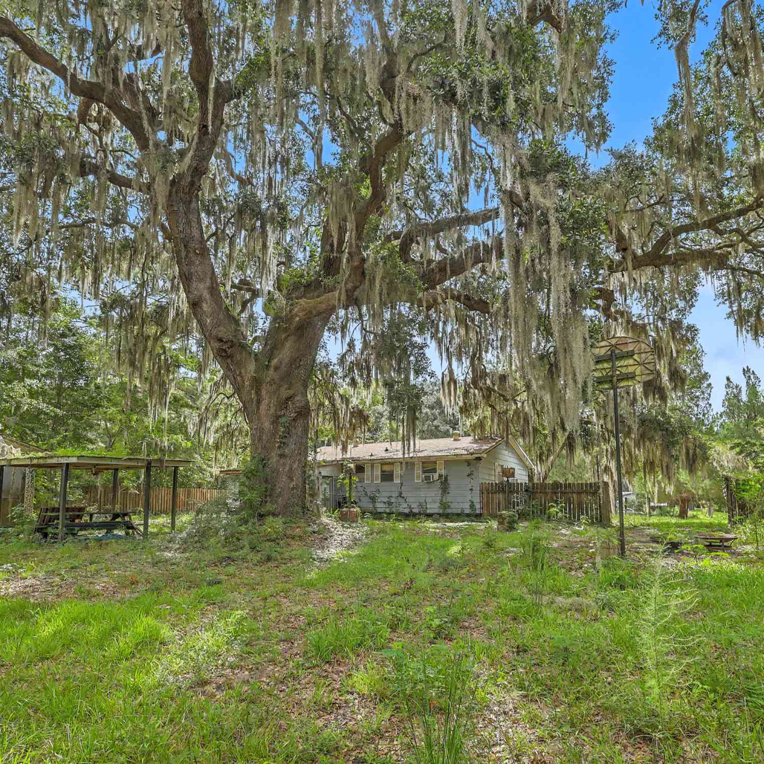 Homes For Sale - 4678 Maybank Highway<br/> Wadmalaw Island, SC 29487