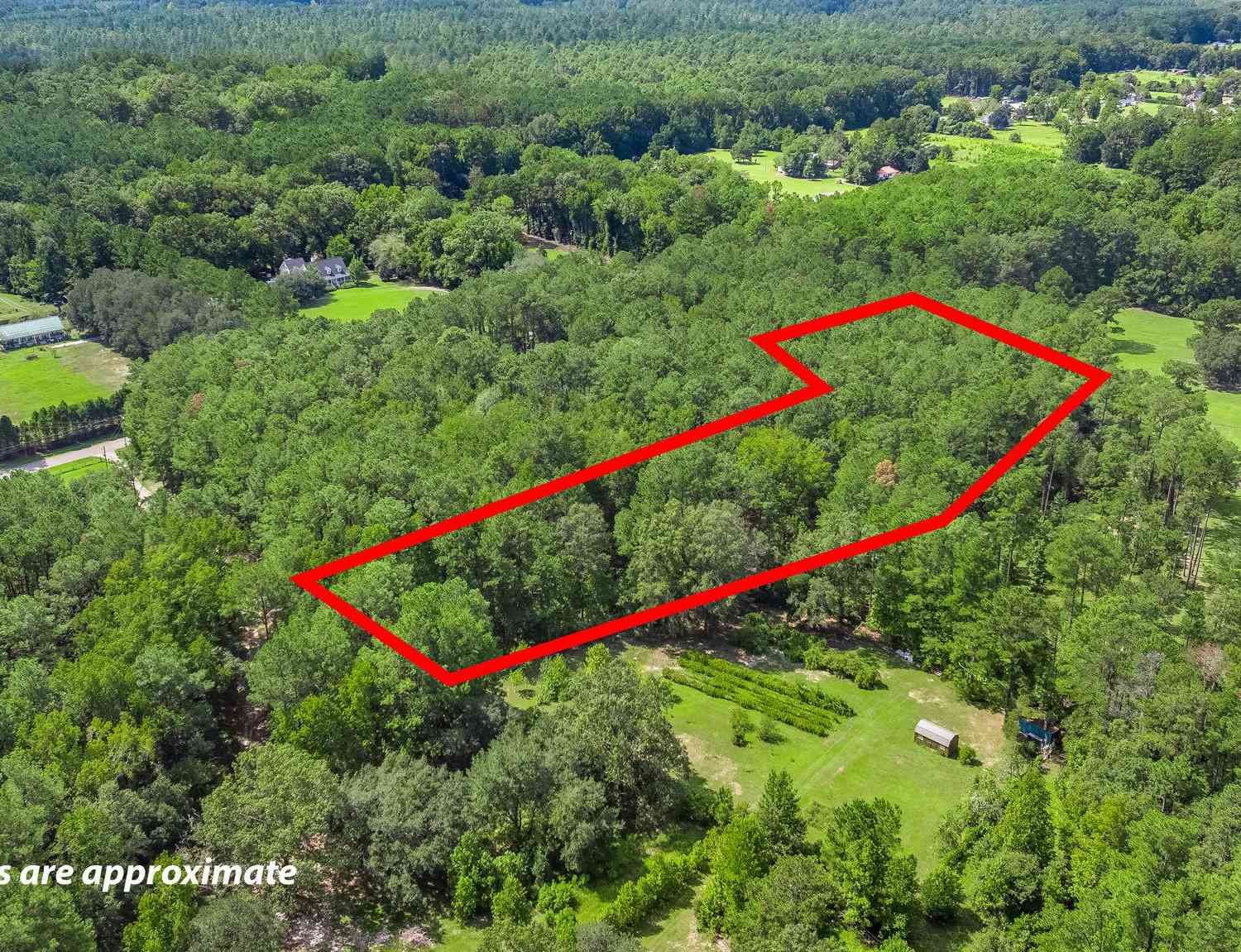 Vacant Land For Sale - Campbell Road<br/> Ridgeville, SC 29472