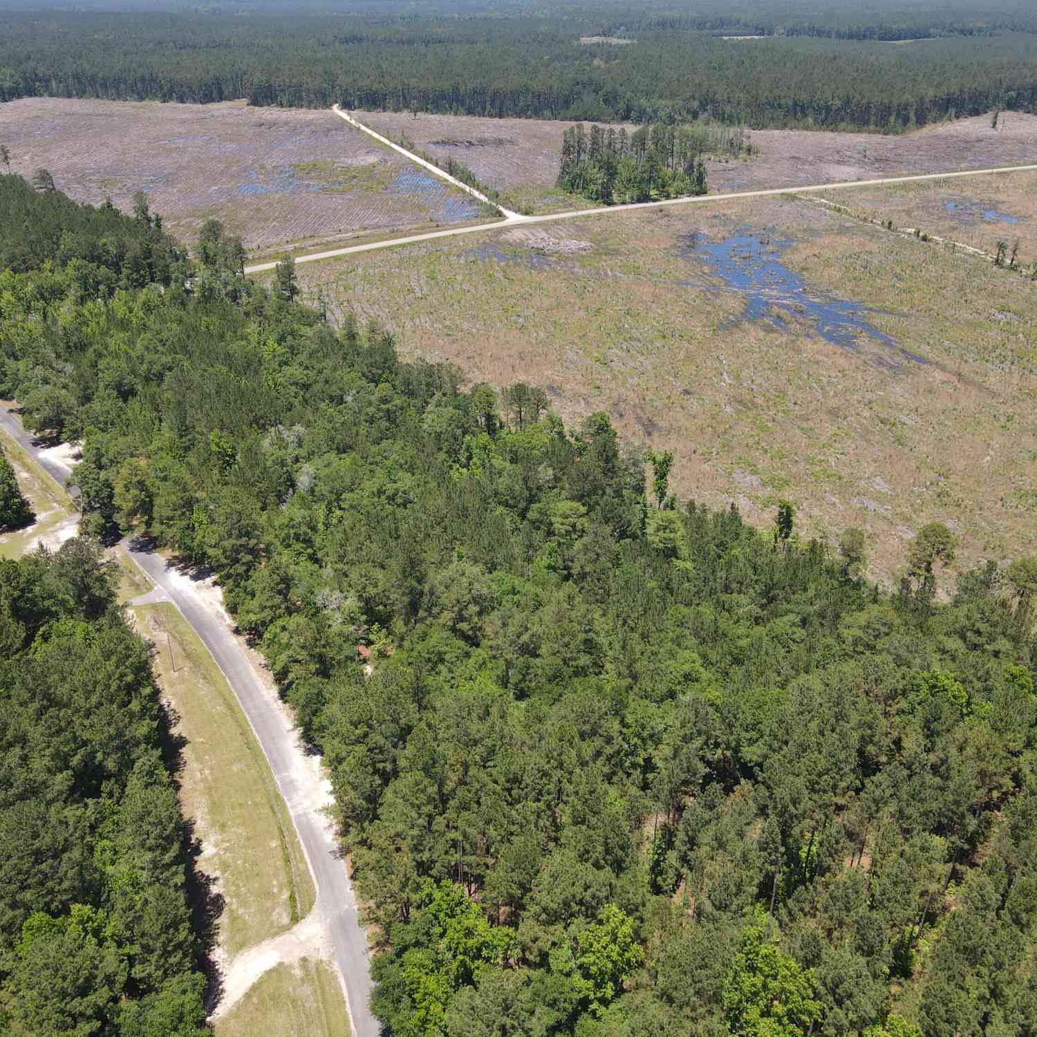 Vacant Land For Sale - 0000 Tumbleweed Road<br/> Smoaks, SC 29481