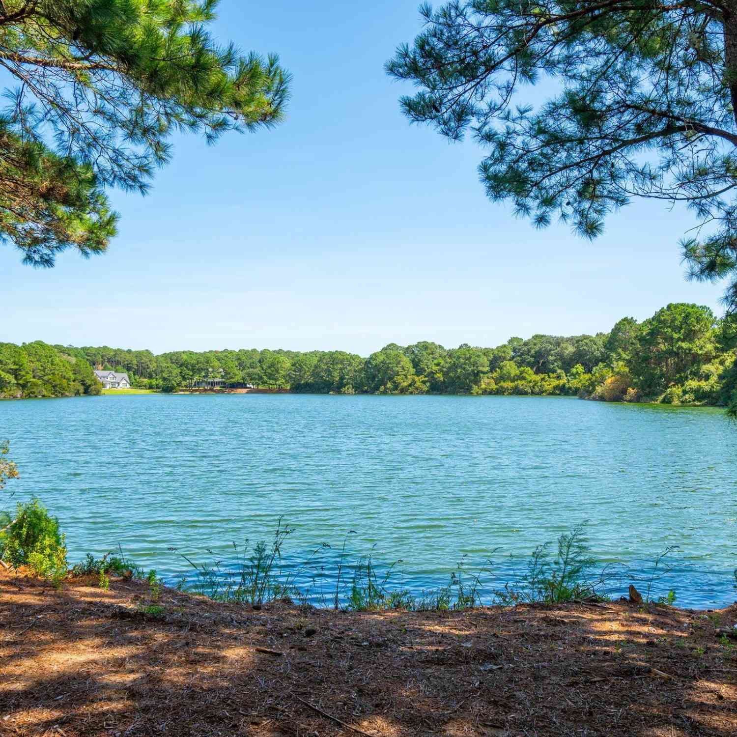Vacant Land For Sale - 4031 Gnarled Oaks Lane<br/> Johns Island, SC 29455