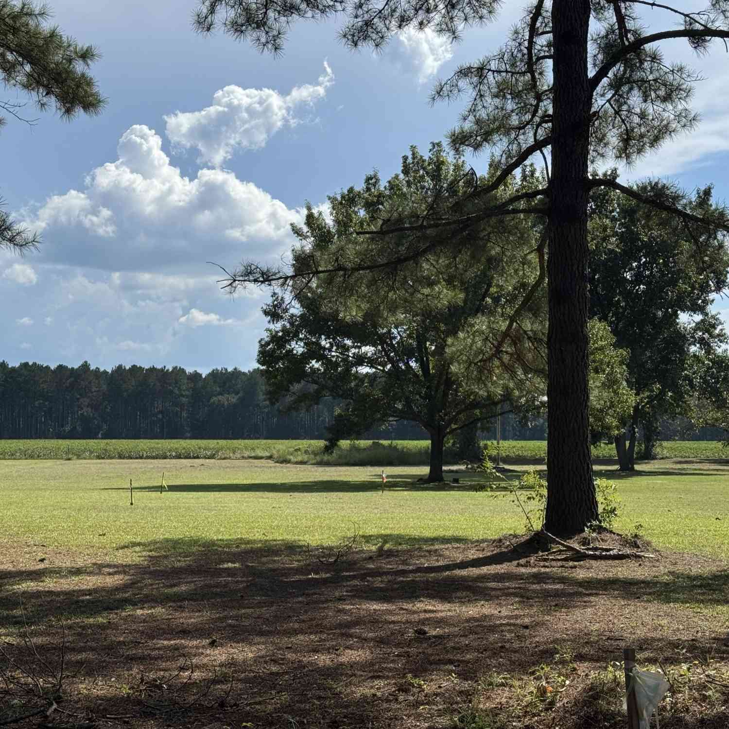 Vacant Land For Sale - 00 Caw Caw Swamp<br/> Brunson, SC 29911