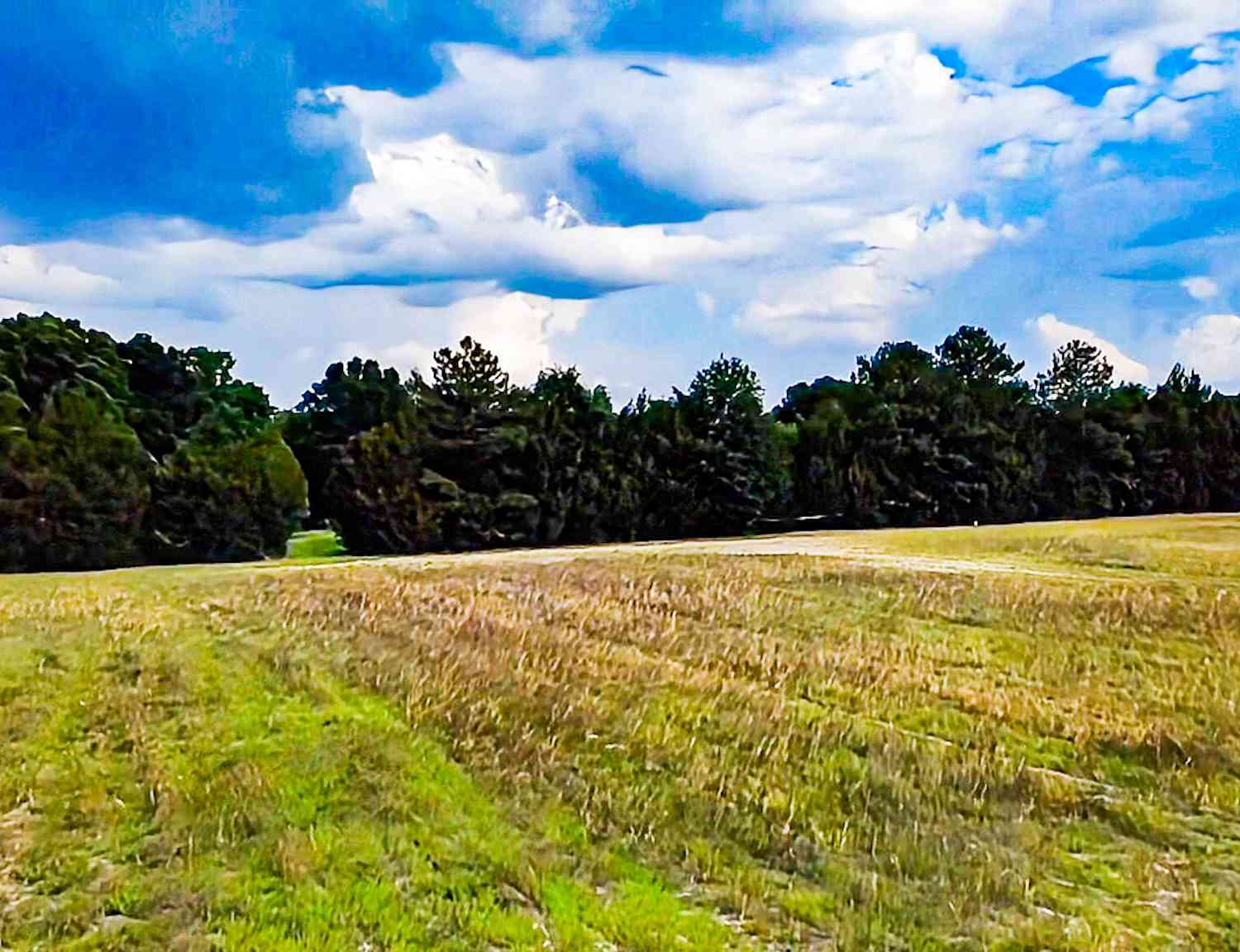Vacant Land For Sale - 0-B Mt Carmel Road<br/> Walterboro, SC 29488