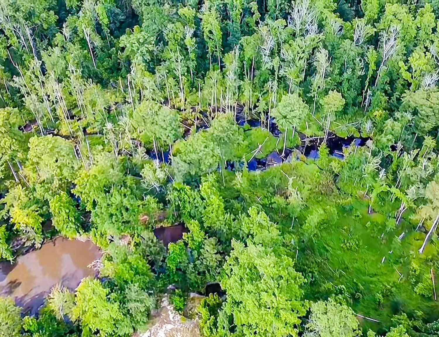 Vacant Land For Sale - 0-C Mount Carmel Road<br/> Walterboro, SC 29488