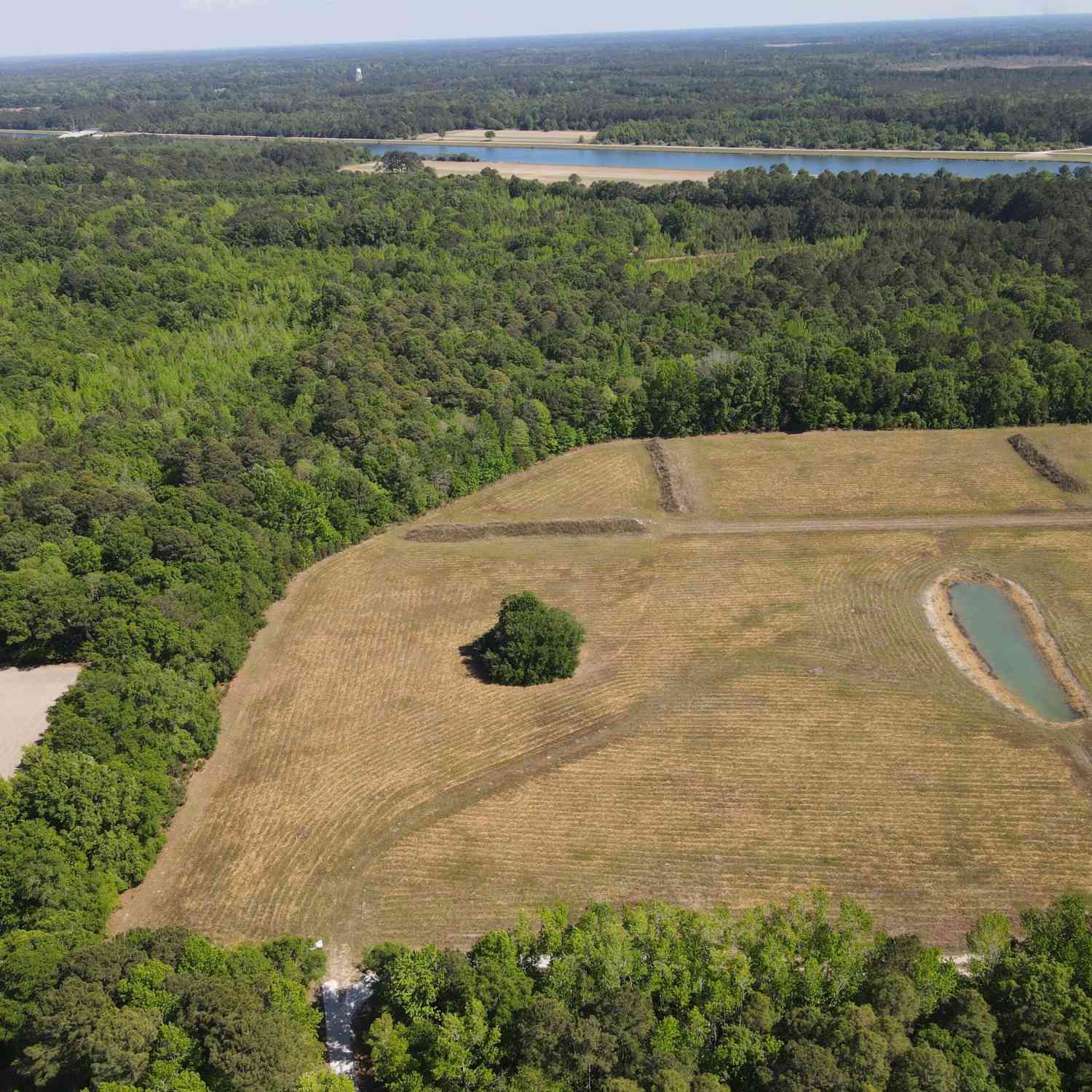 Vacant Land For Sale - 00000 Cottage Lane<br/> Saint Stephen, SC 29479