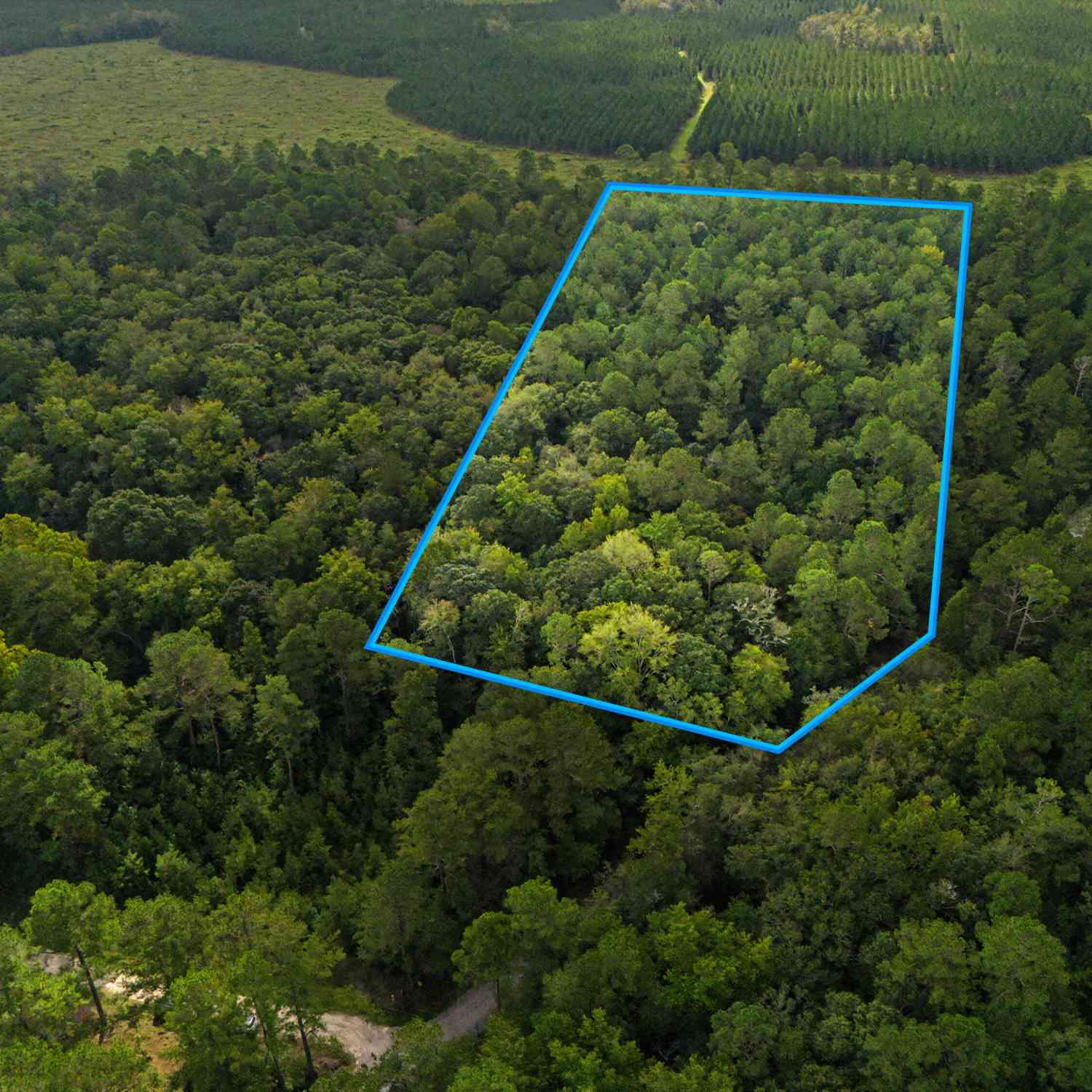 Vacant Land For Sale - Tree Farm Road<br/> Walterboro, SC 29488