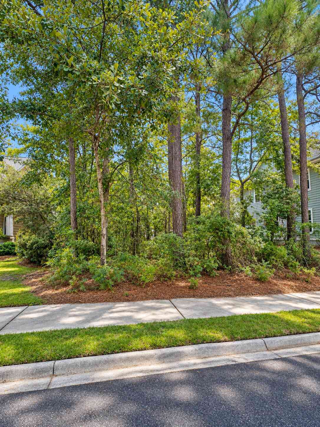 Vacant Land For Sale - 116 Red Bay Lane<br/> Summerville, SC 29483