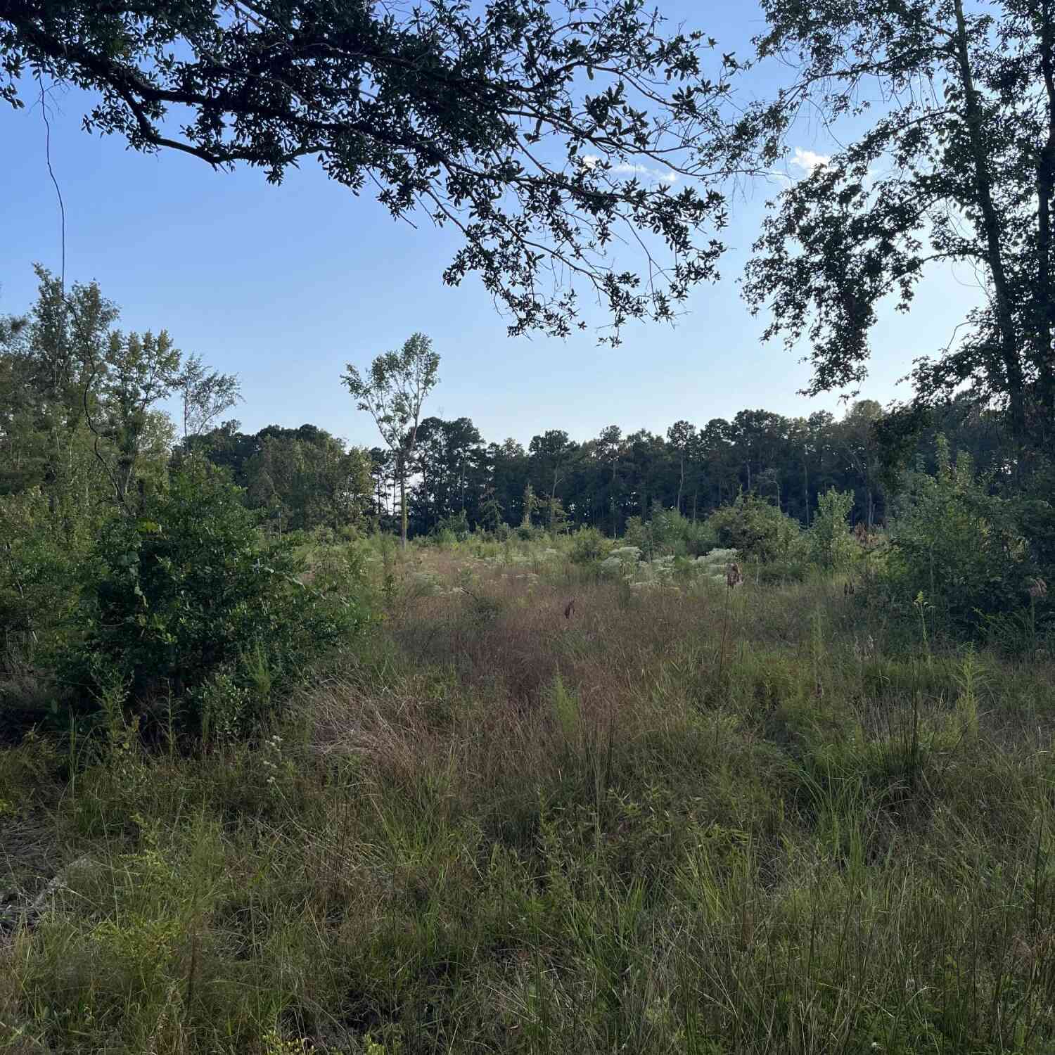 Vacant Land For Sale - Yaremich Road<br/> Moncks Corner, SC 29461