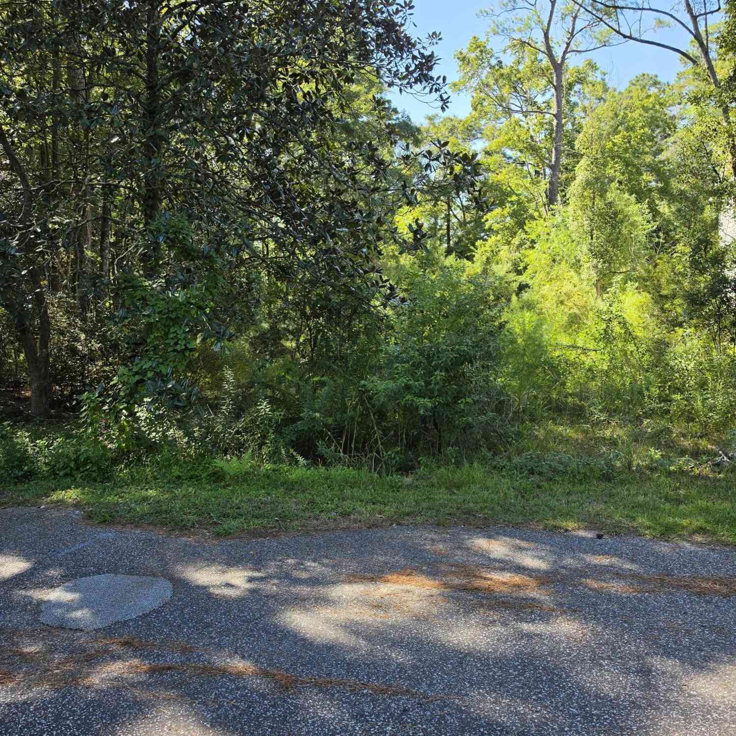 Vacant Land For Sale - 206 Foster Street<br/> Summerville, SC 29483