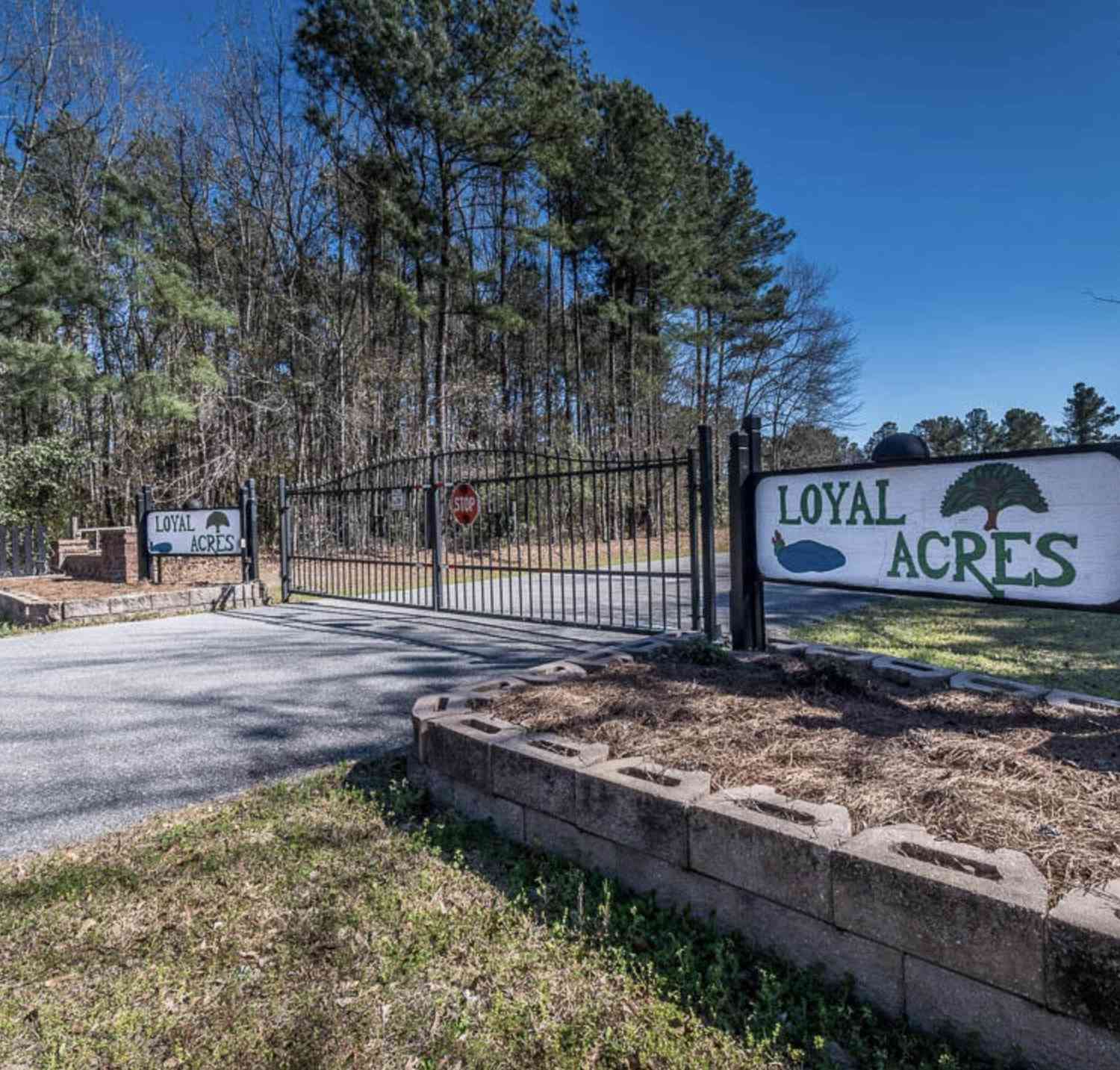 Vacant Land For Sale - 308 Piney Grove Road<br/> Cross, SC 29436