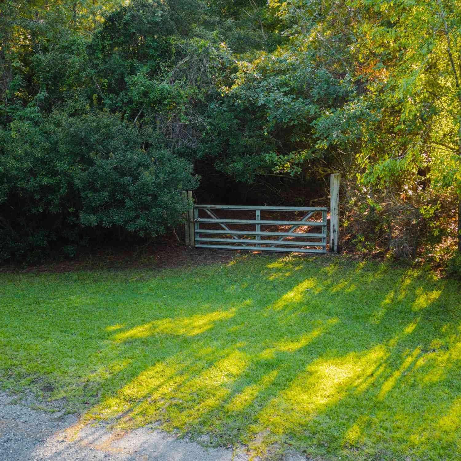 Vacant Land For Sale - 000 Hazelhurst Lane<br/> Ravenel, SC 29470