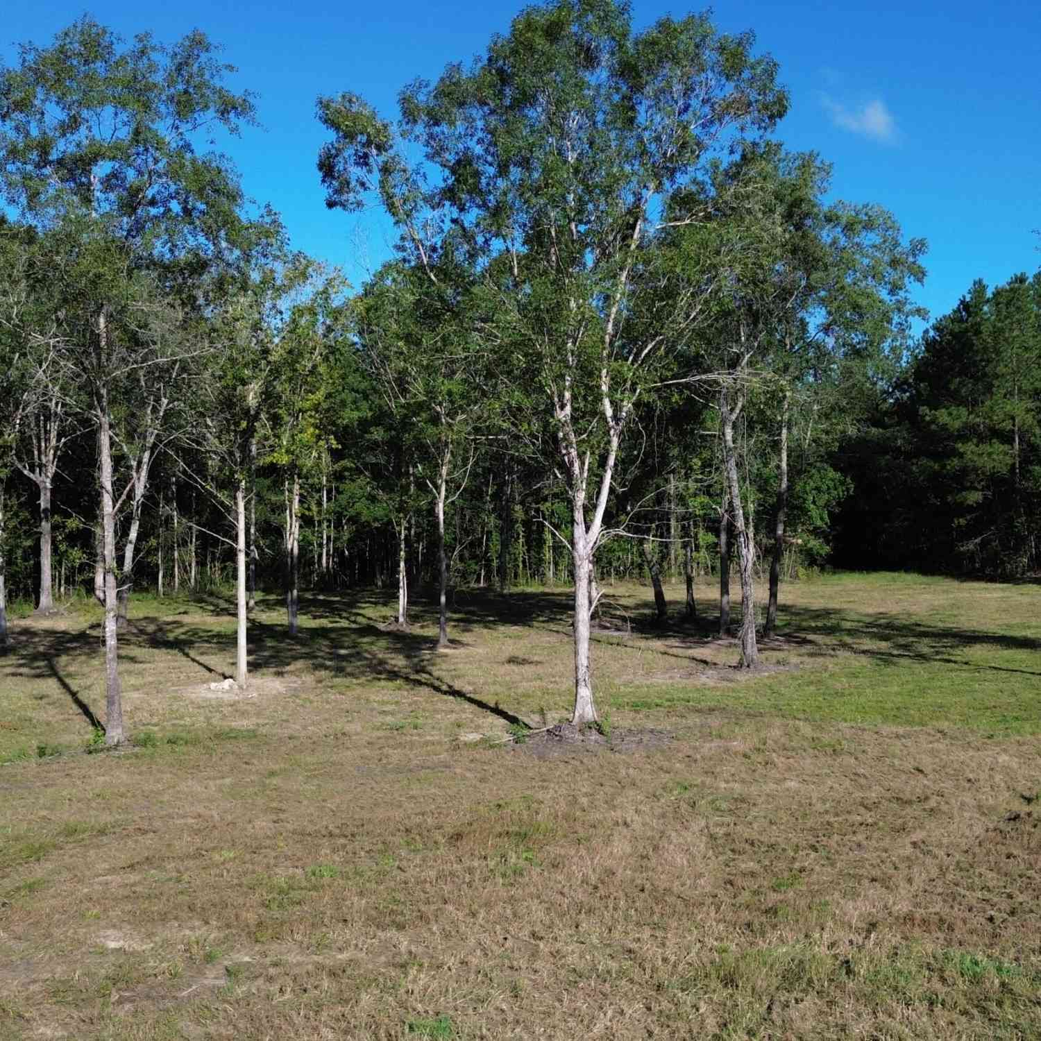 Vacant Land For Sale - 727 Crystal Lake<br/> Huger, SC 29450