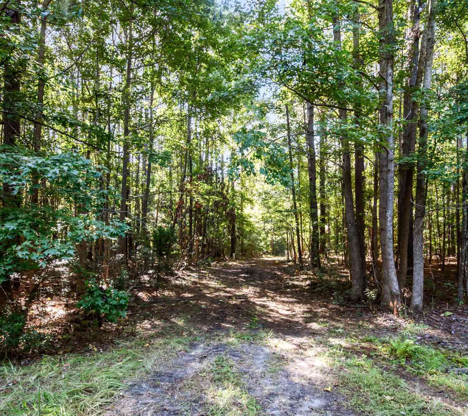 Vacant Land For Sale - 3745 Humbert Road<br/> Johns Island, SC 29455