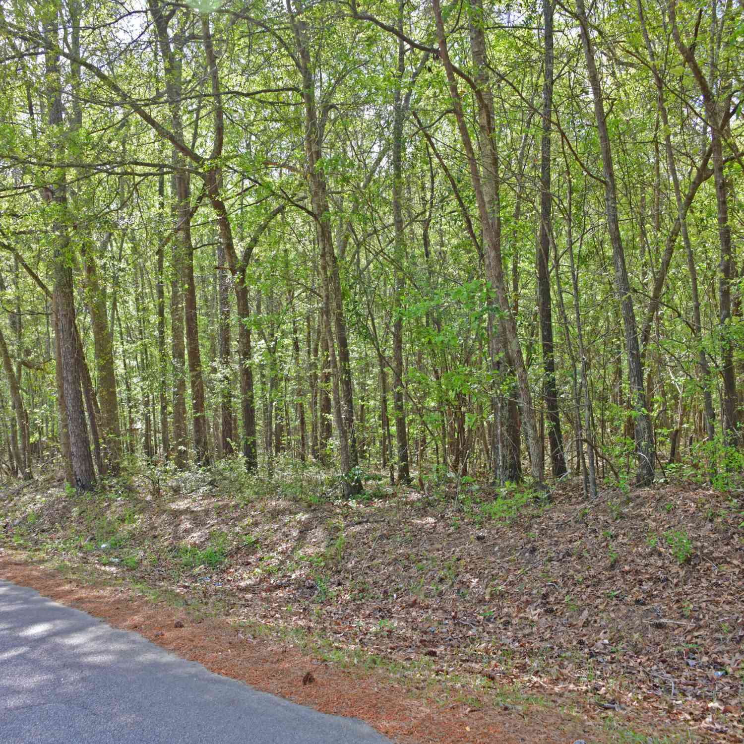 Vacant Land For Sale - Ridgelake(lot 8,9,10,11) Circle<br/> Saint Matthews, SC 29135