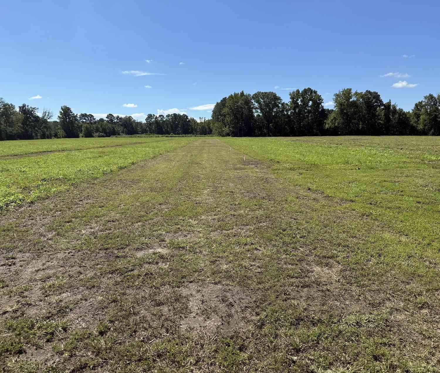 Vacant Land For Sale - 15844 Ace Basin (lot #3) Parkway<br/> Round O, SC 29474