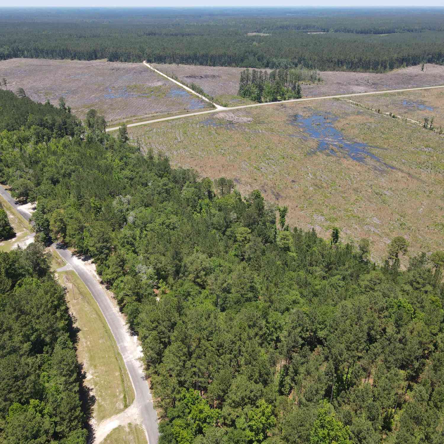 Vacant Land For Sale - 000 Tumbleweed Road<br/> Smoaks, SC 29481