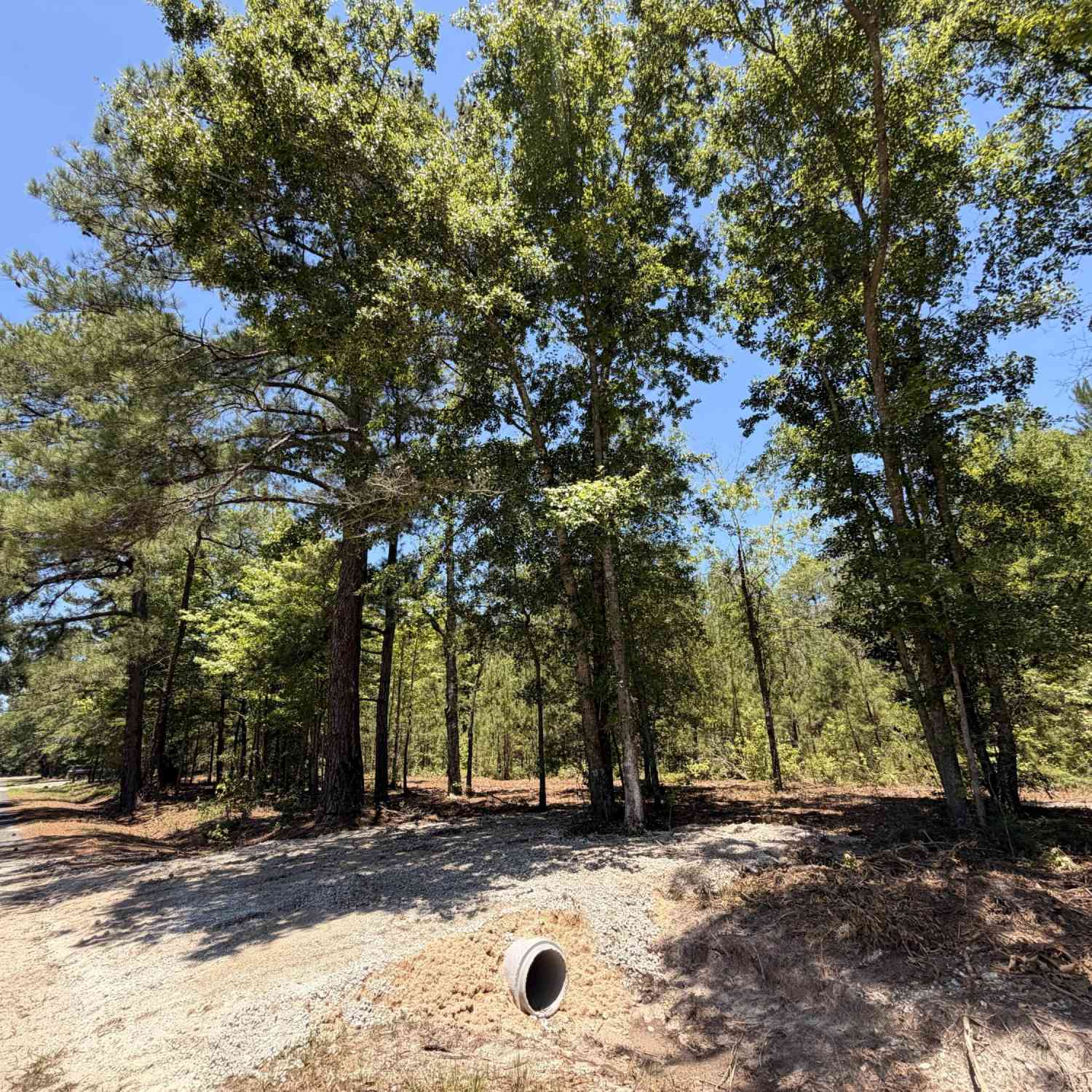 Vacant Land For Sale - 00000 Tumbleweed Road<br/> Smoaks, SC 29481