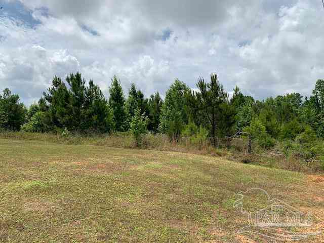 Vacant Land For Sale - 19600 BLOCK Hwy 43<br/> Grove Hill, AL 36451