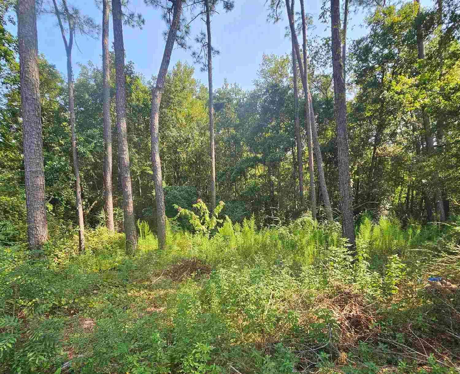 Vacant Land For Sale - 222 Boiling Brook Cir<br/> Pensacola, FL 32503