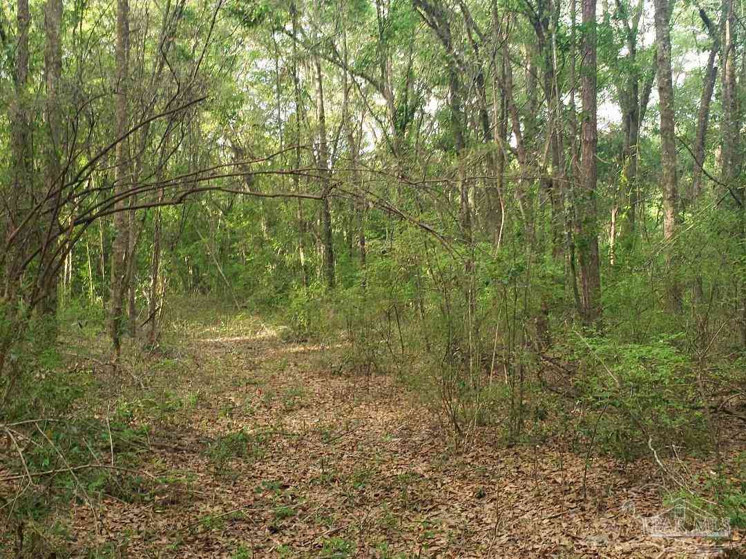 Vacant Land For Sale - 01 Sanders St<br/> Milton, FL 32570
