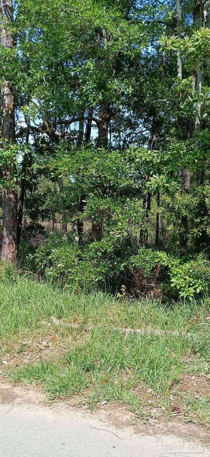 Vacant Land For Sale - 5550 Cruzat Way<br/> Pensacola, FL 32507