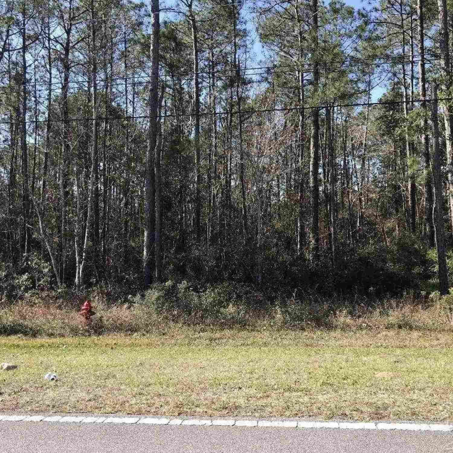 Vacant Land For Sale - 2200 Dog Track Rd<br/> Pensacola, FL 32506