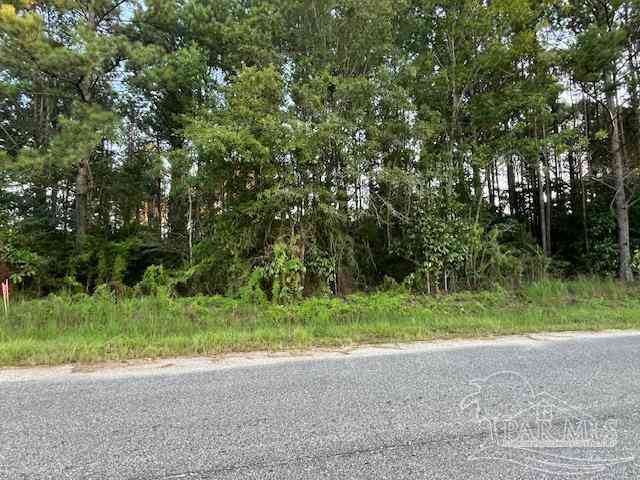Vacant Land For Sale - PARCEL 5 Middleton Ln<br/> Atmore, AL 36502