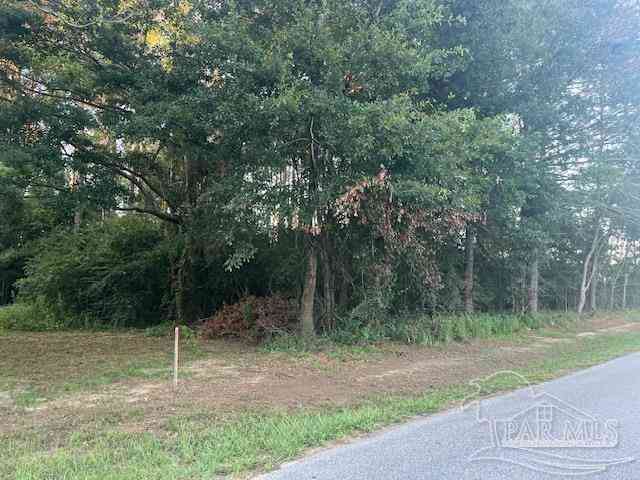 Vacant Land For Sale - PARCEL 6 Middleton Ln<br/> Atmore, AL 36502