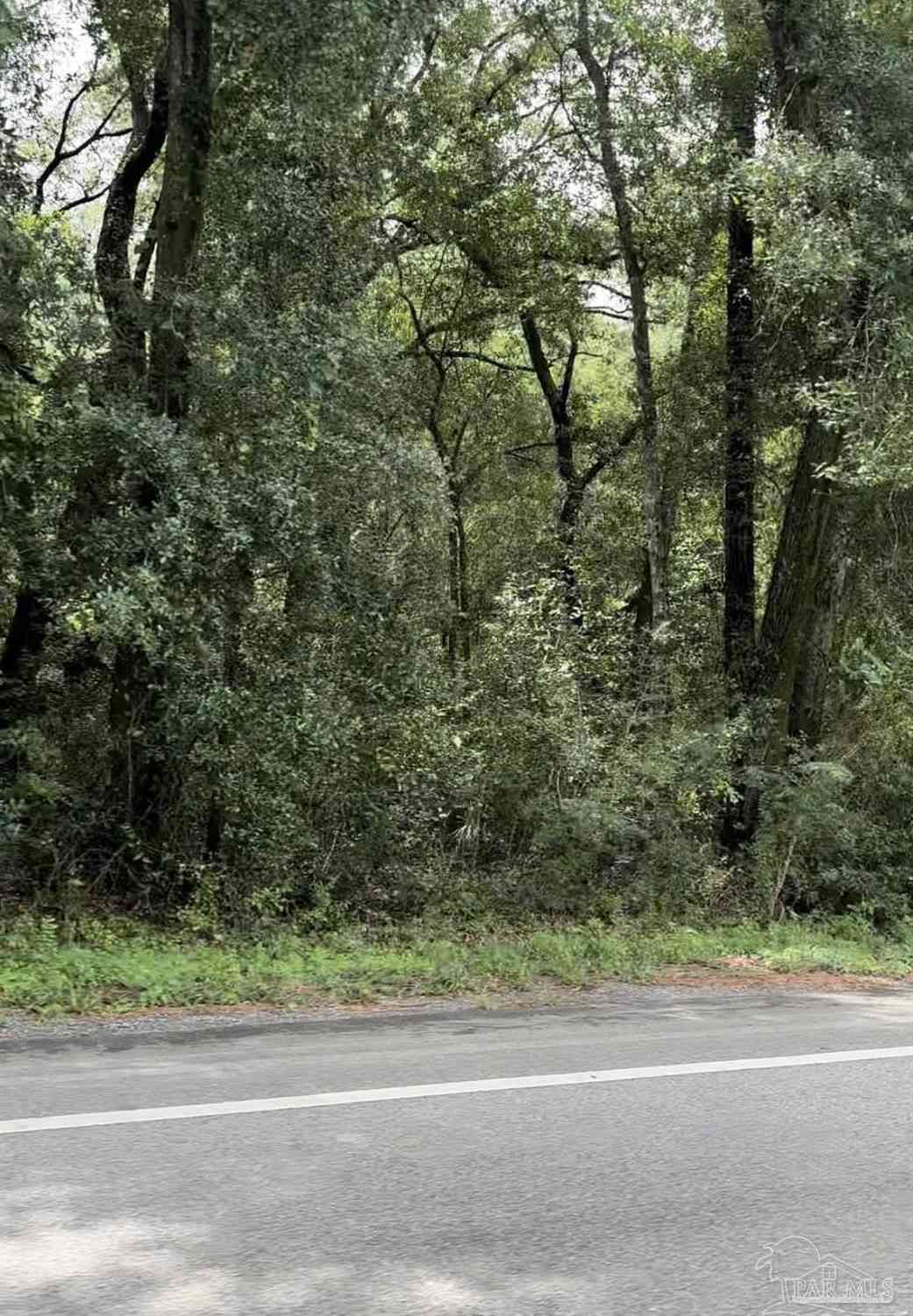 Vacant Land For Sale - 12900 Lillian Hwy<br/> Pensacola, FL 32506