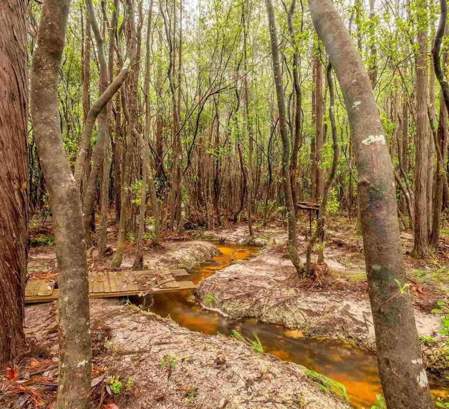 Vacant Land For Sale - Christmas Tree Rd<br/> Milton, FL 32570