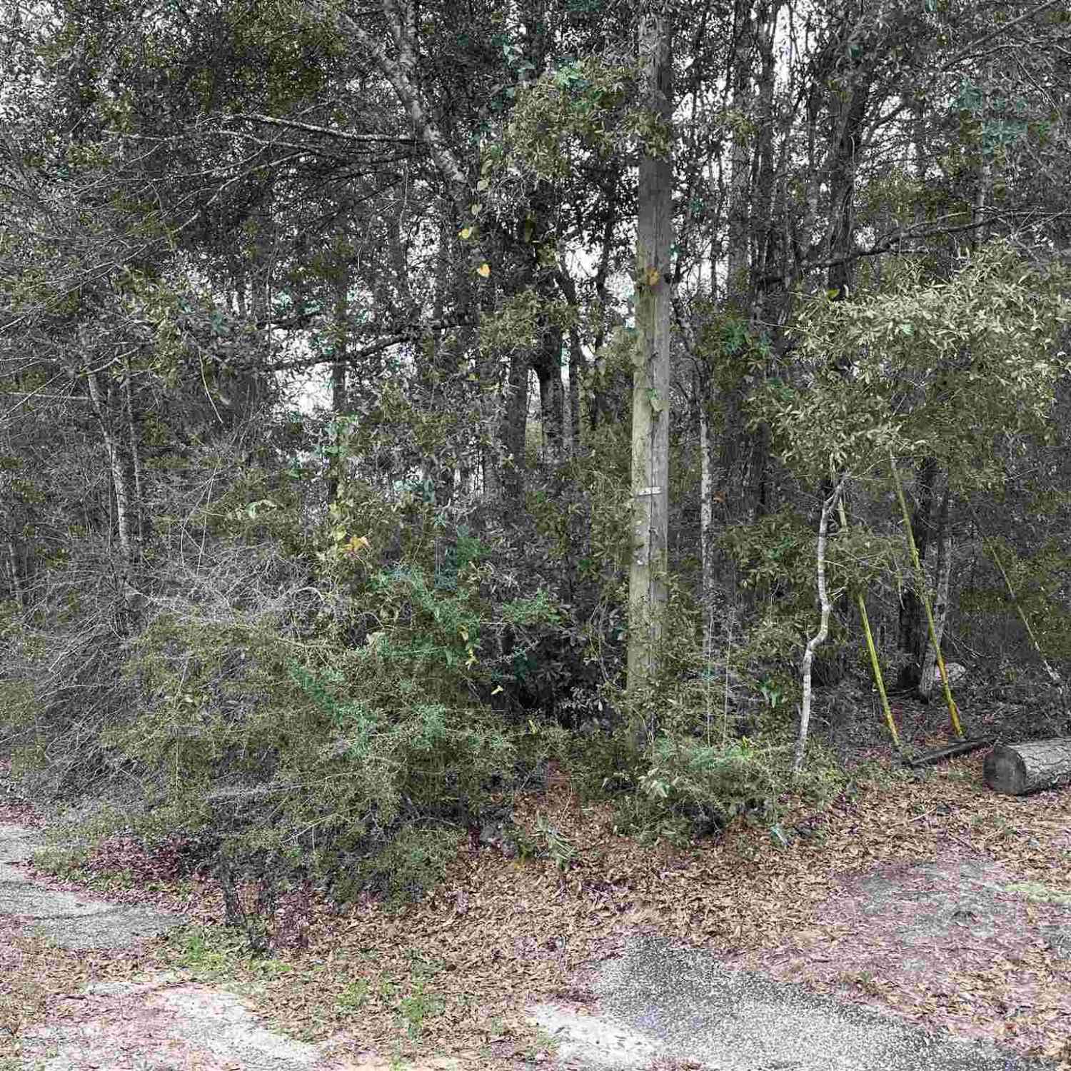 Vacant Land For Sale - 4829 O'bryan Way<br/> Pace, FL 32571