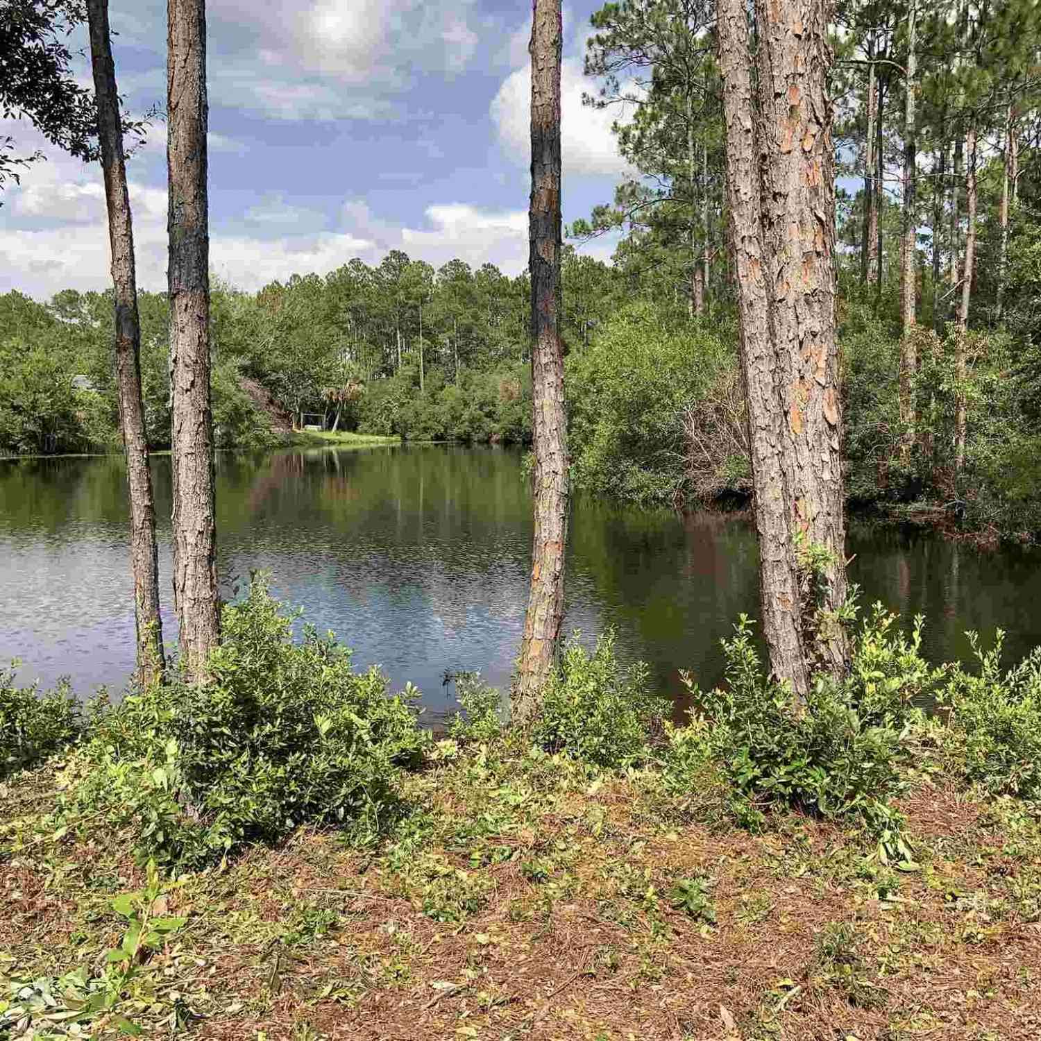 Vacant Land For Sale - 12335 Ailanthus Dr<br/> Pensacola, FL 32506