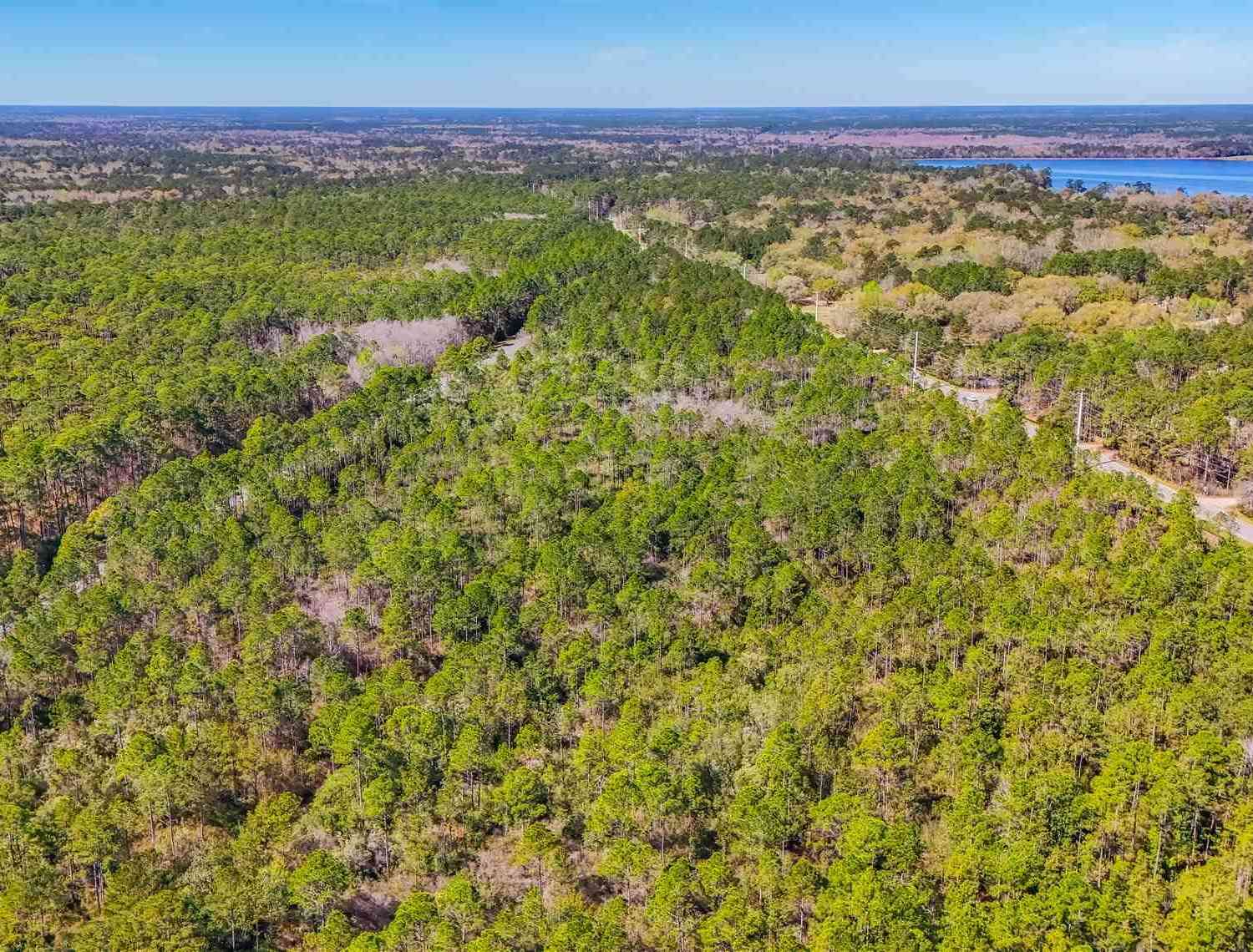 Vacant Land For Sale - 0 LOT 2 E Hwy 20<br/> Tallahassee, FL 32310