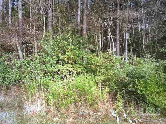 Vacant Land For Sale - 6555 Desoto St<br/> Navarre, FL 32566