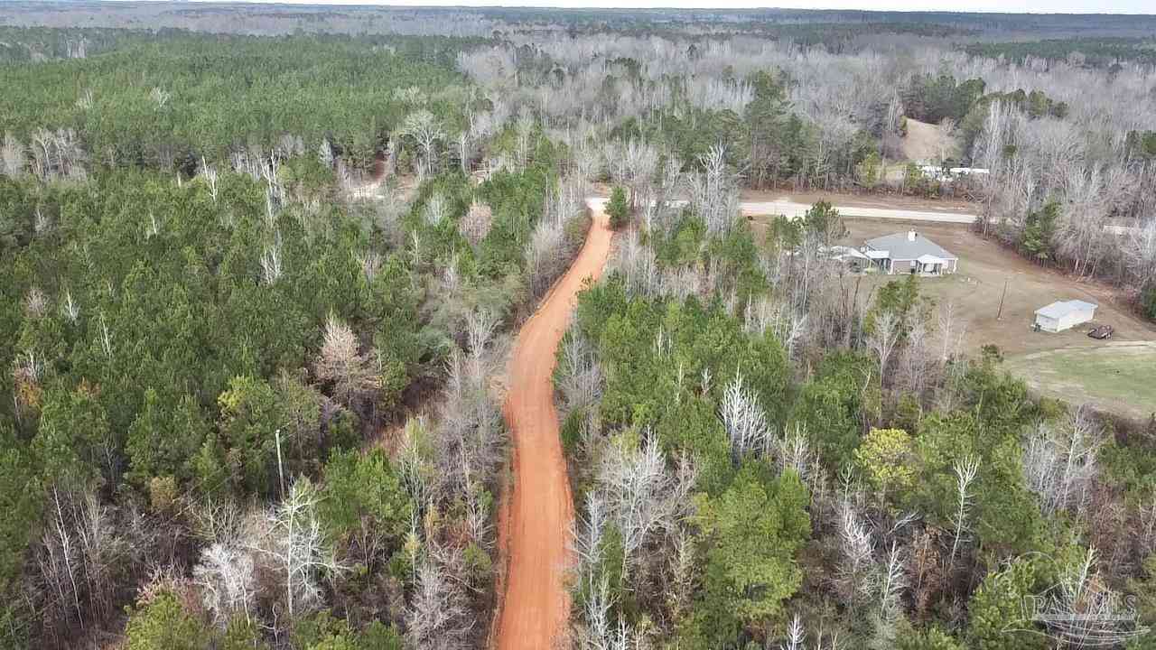 Vacant Land For Sale - 21000 BLOCK Hwy 21<br/> Beatrice, AL 36425