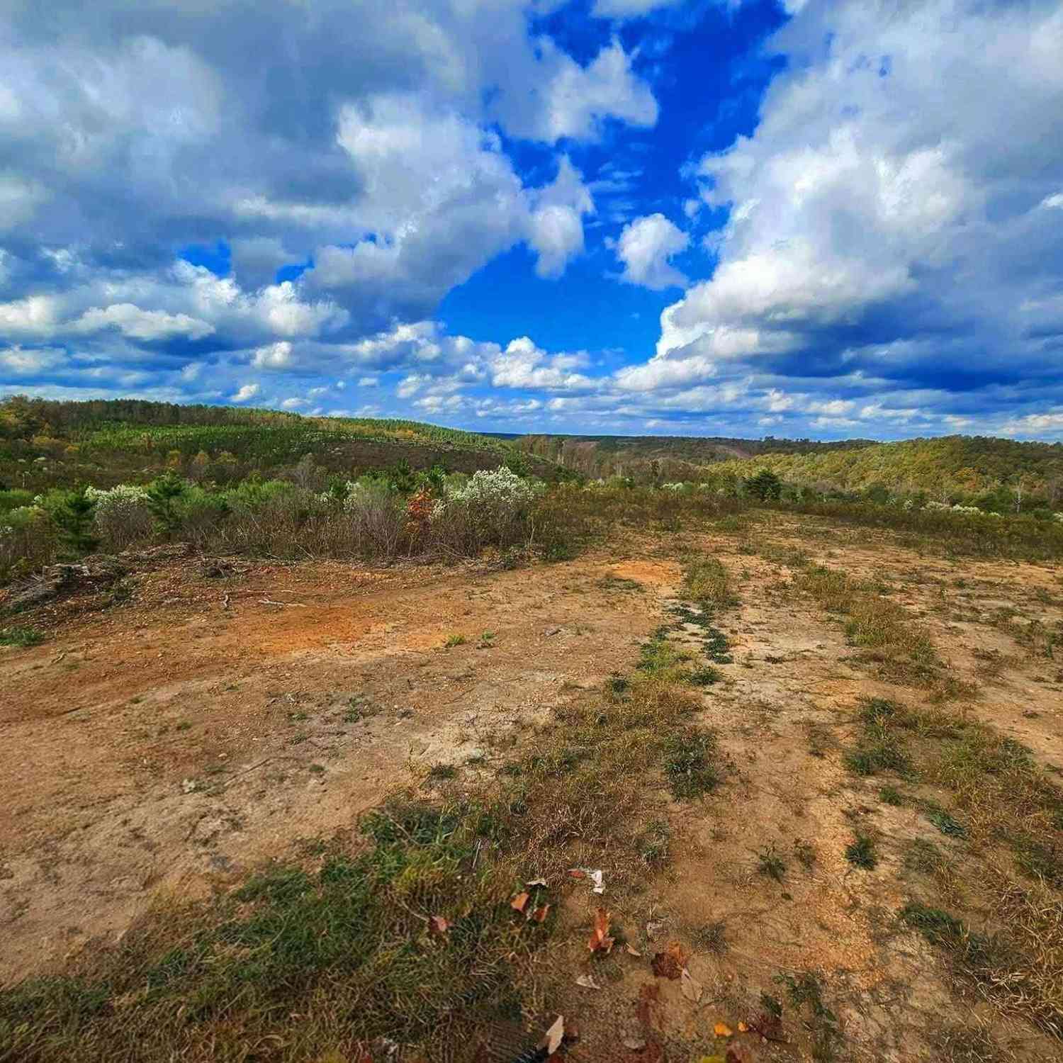 Vacant Land For Sale - County Rd 79<br/> Waterloo, AL 36577