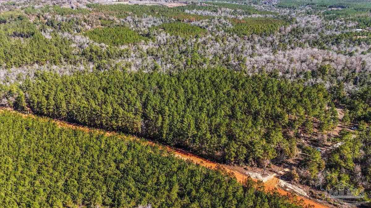 Vacant Land For Sale - 8340 Gin Rd<br/> Santa Rosa County, North Pace, FL 32571
