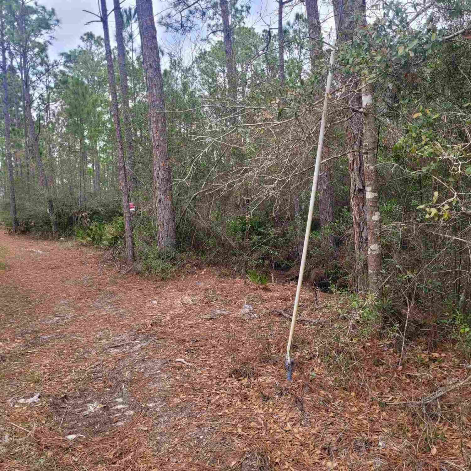 Vacant Land For Sale - Havburg Dr<br/> Pensacola, FL 32506