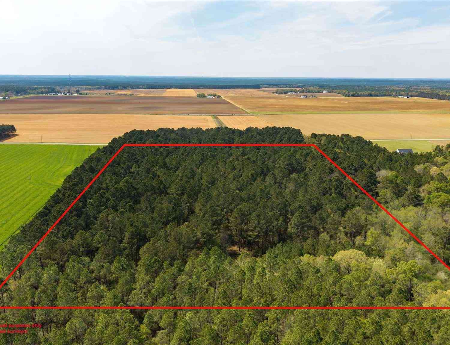 Vacant Land For Sale - TBD Corley Rd<br/> Walnut Hill, FL 32568