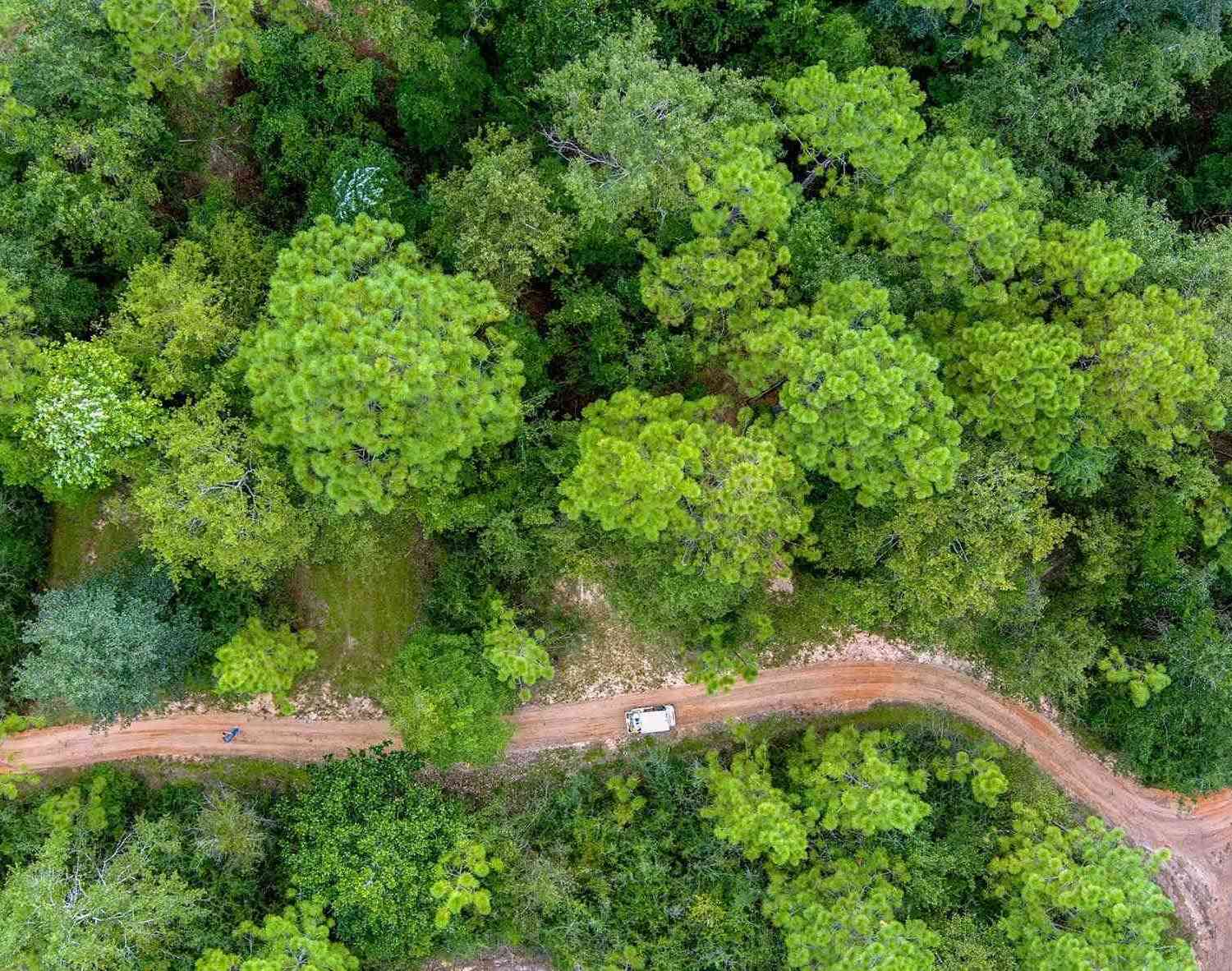 Vacant Land For Sale - 4874 Seely Rd<br/> Molino, FL 32577