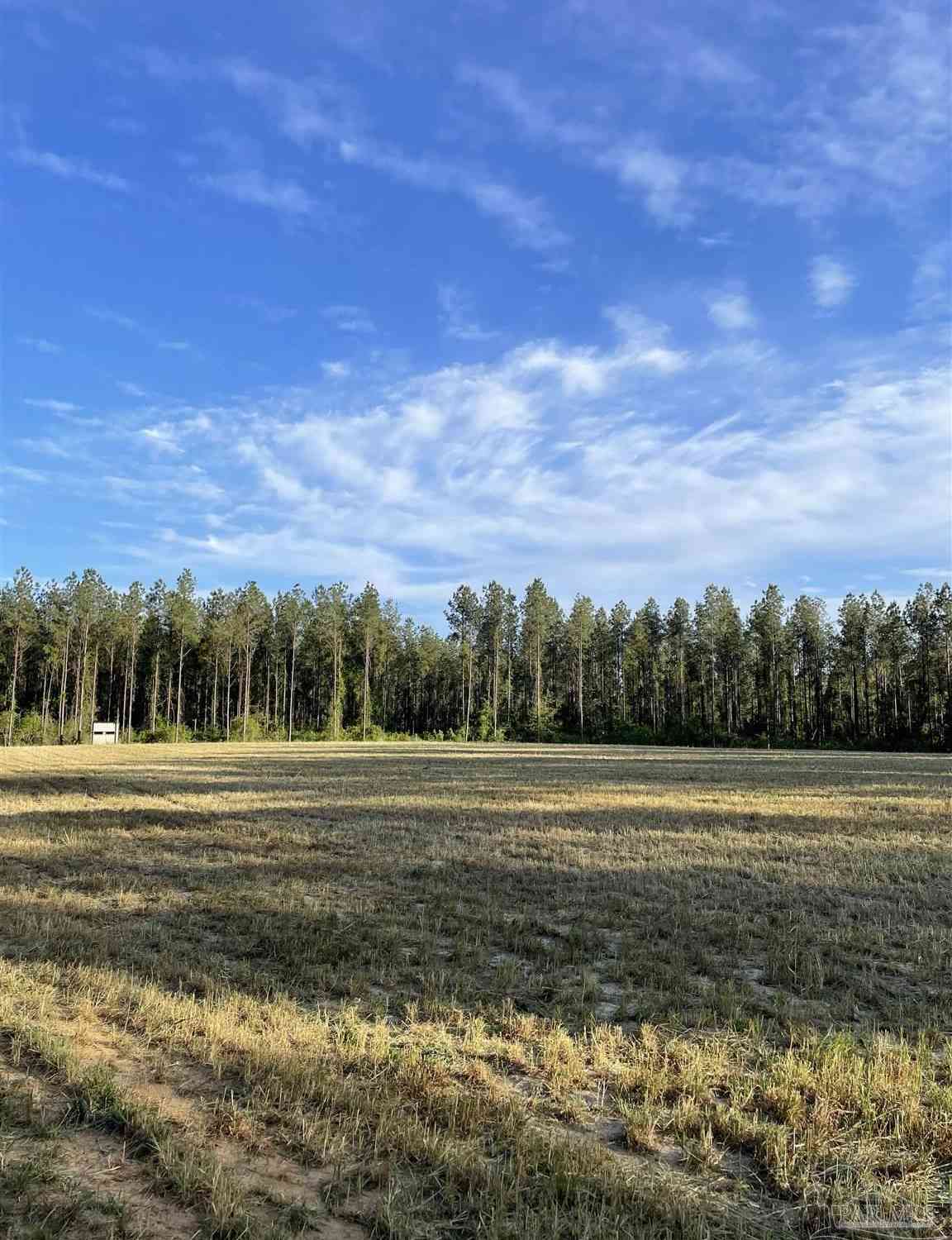 Vacant Land For Sale - 6950 Luth Rd<br/> Molino, FL 32577