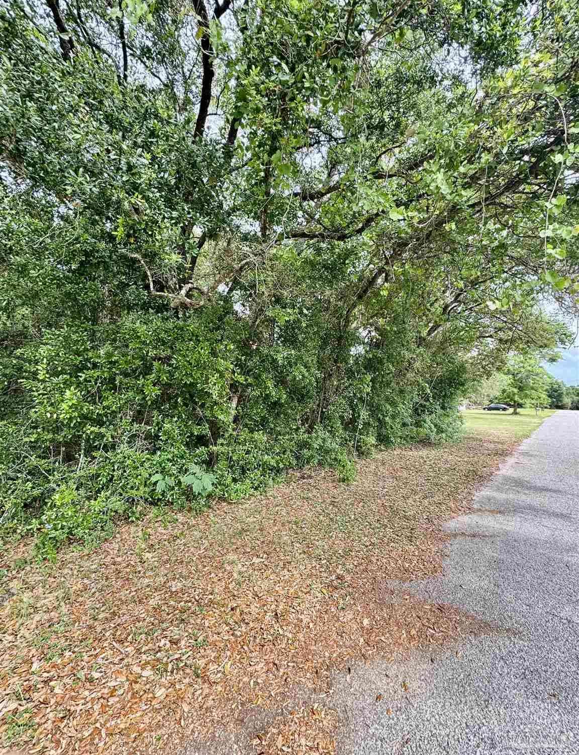 Vacant Land For Sale - 100 BLK Newman Ave<br/> Pensacola, FL 32507