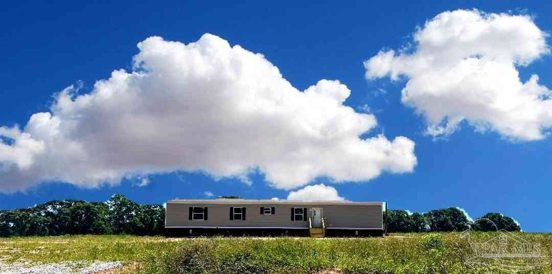 Homes For Sale - T Bridge Rd<br/> Red Level, AL 36474