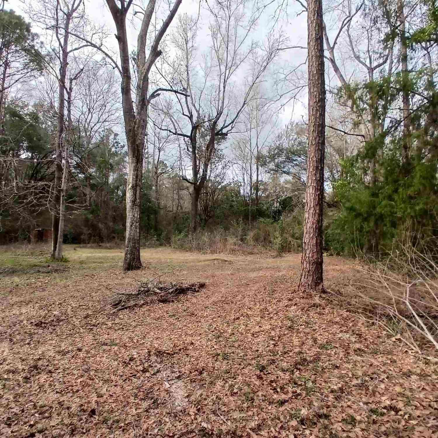 Vacant Land For Sale - 930 Brookhills Dr<br/> Cantonment, FL 32533