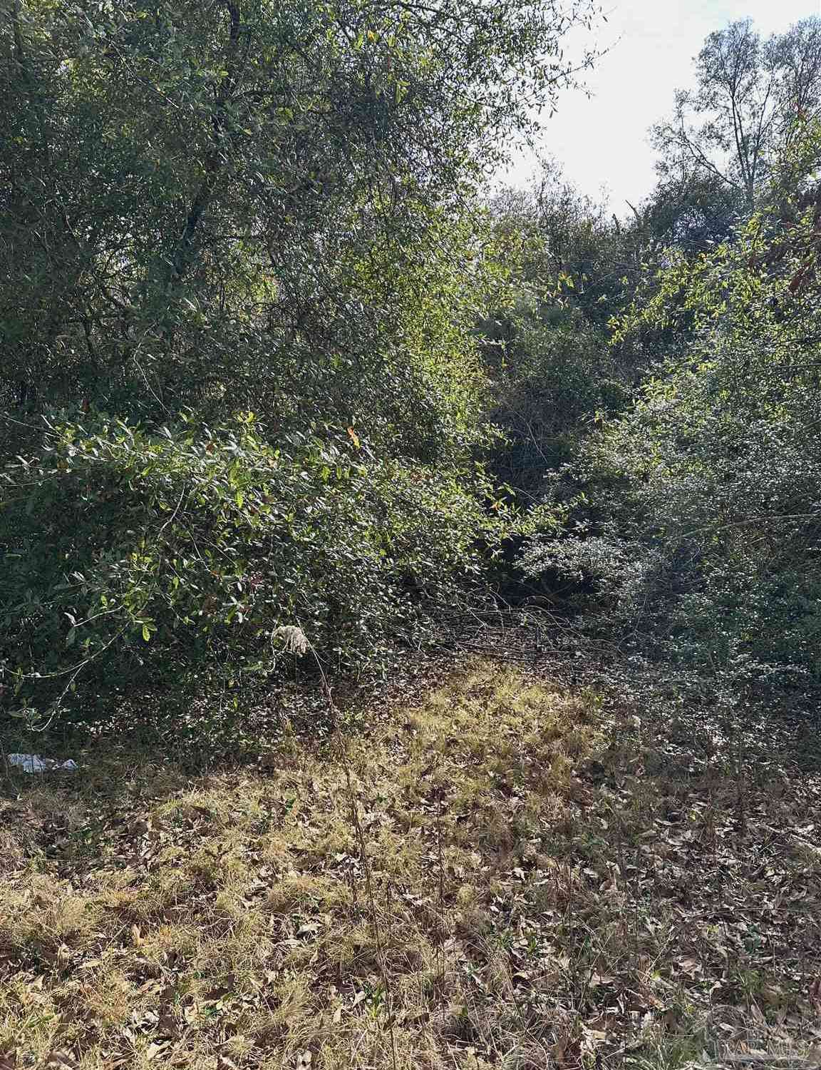 Vacant Land For Sale - 400 BLK N Century Blvd<br/> Mcdavid, FL 32568