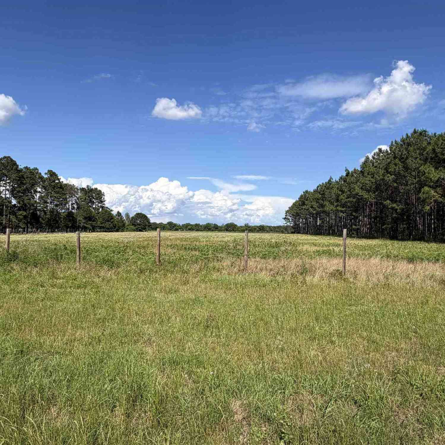 Vacant Land For Sale - 4400 BLK N Hwy 99<br/> Walnut Hill, FL 32568