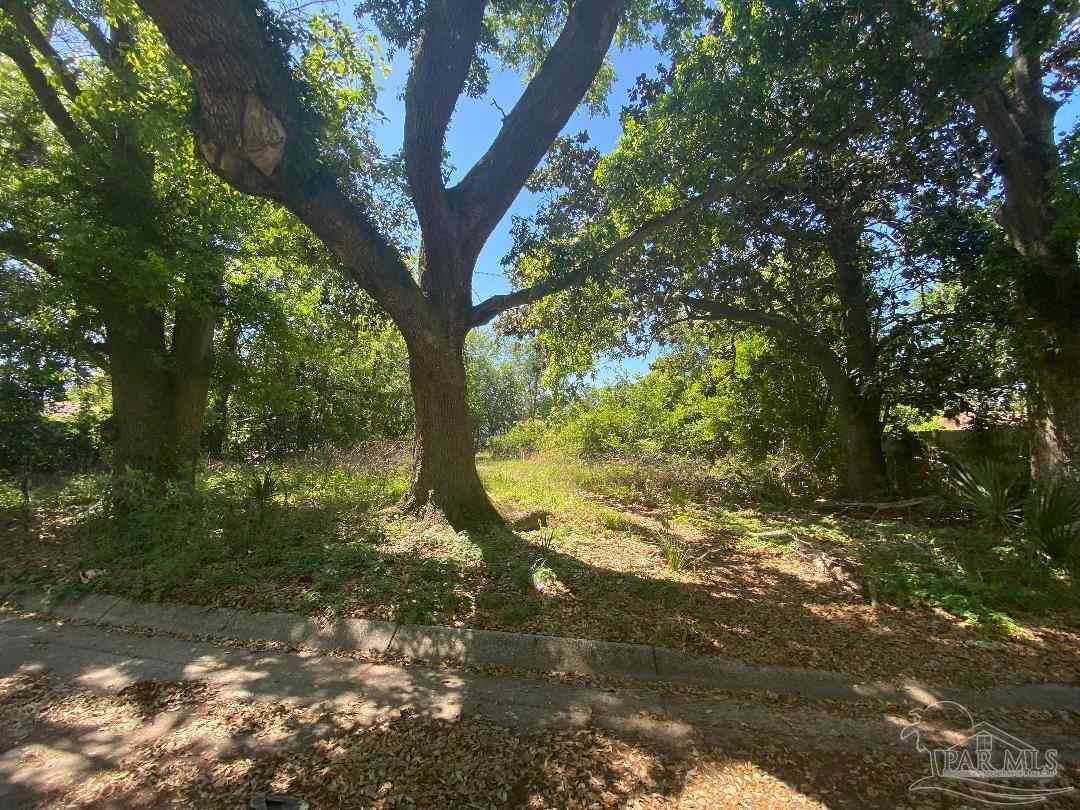 Slider Thumb