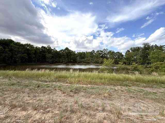 Vacant Land For Sale - LOT 2 & 3 Tungoil Rd<br/> Walnut Hill, FL 32568