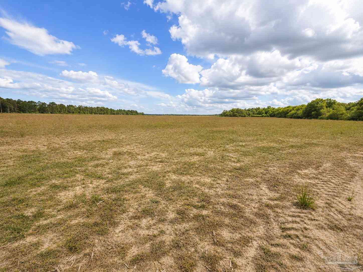 Vacant Land For Sale - LOT 1 Tungoil Rd<br/> Walnut Hill, FL 32568