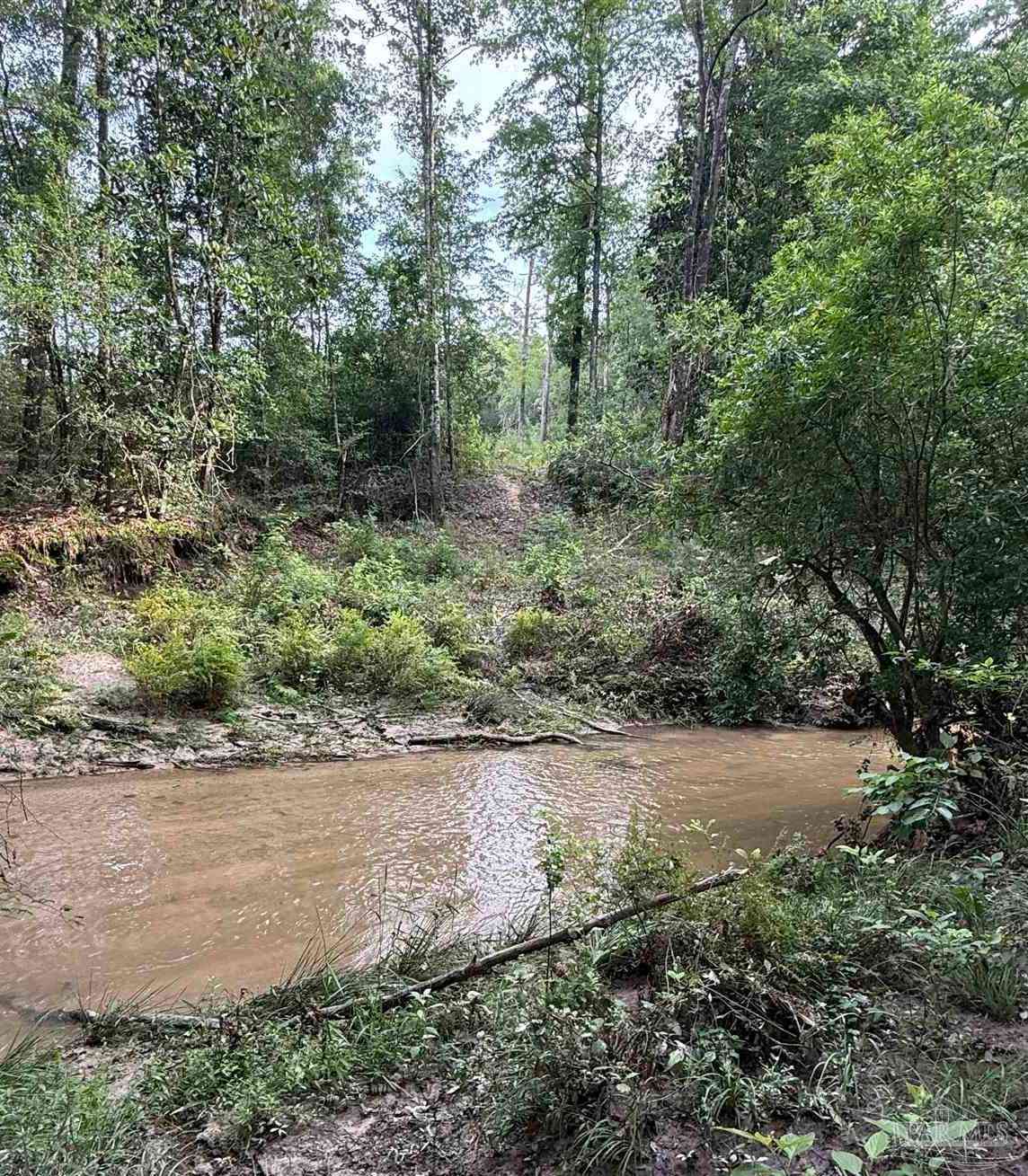 Vacant Land For Sale - 0100 Mineral Springs Rd<br/> Jay, FL 32565